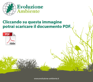 Download Documento PDF